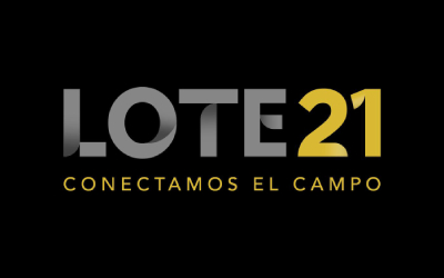 Lote 21
